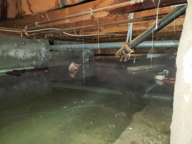 Best Water damage restoration near me  in Canaan, CT