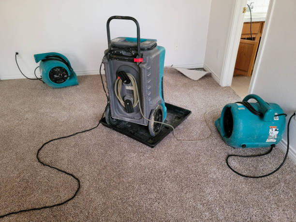 Best Flood restoration services  in Canaan, CT