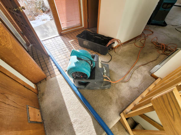 Best Water damage cleanup near me  in Canaan, CT