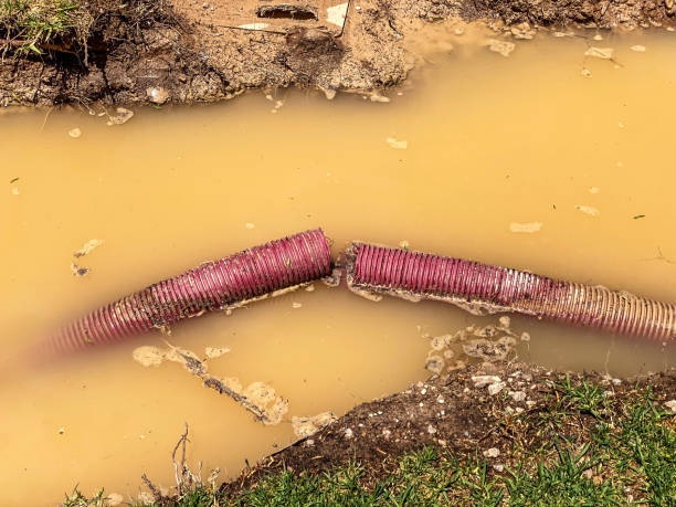 Best Basement water damage restoration  in Canaan, CT