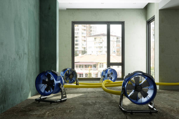 Best Sewage cleanup and water damage restoration  in Canaan, CT