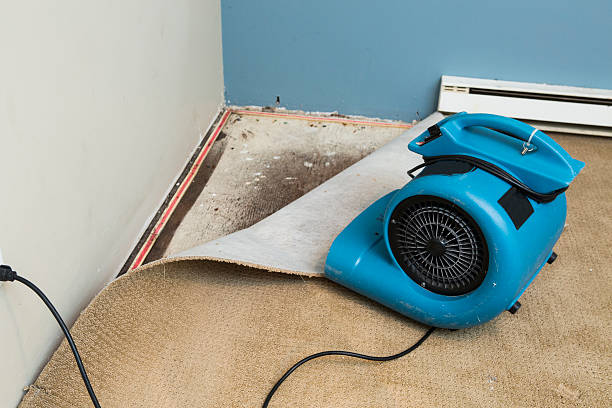 Best Water damage restoration experts  in Canaan, CT